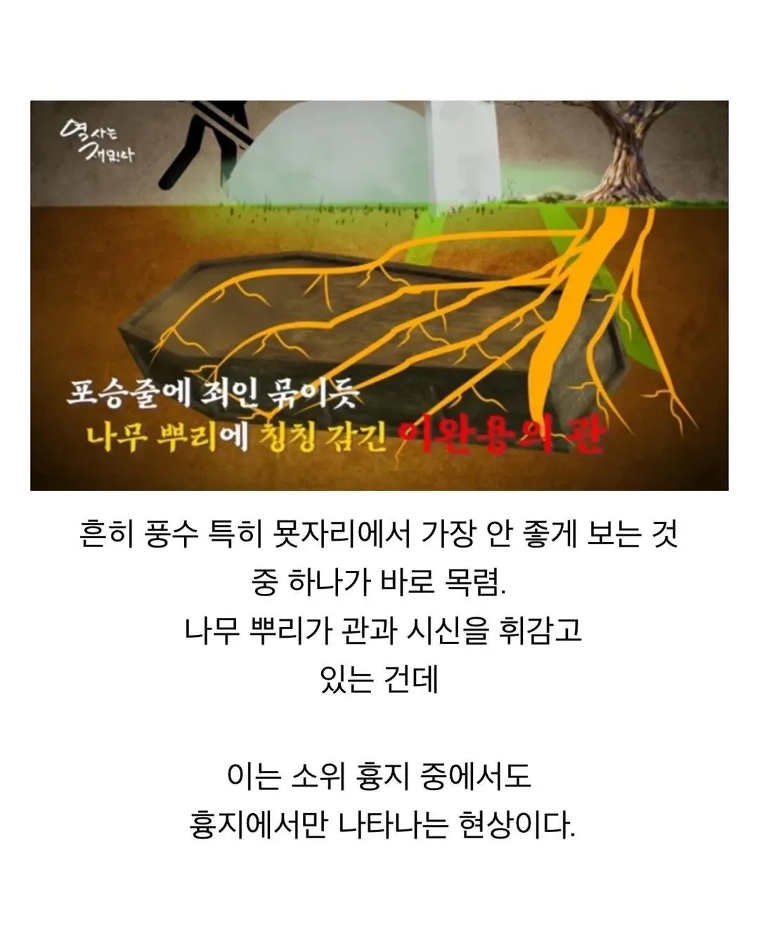 매국노는 명당도 악지 중 악지로 만든다 (2)
