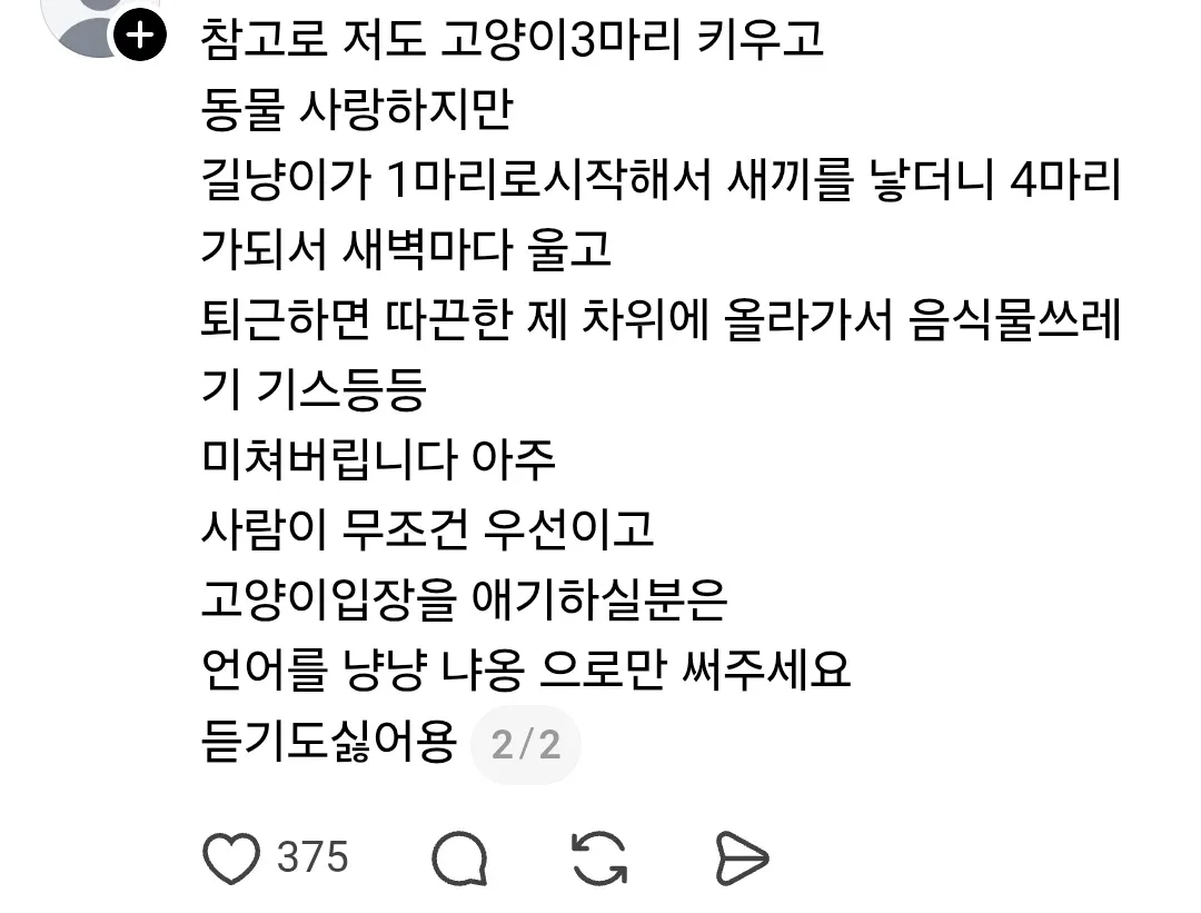캣맘도 사실 알고있었다 (2)