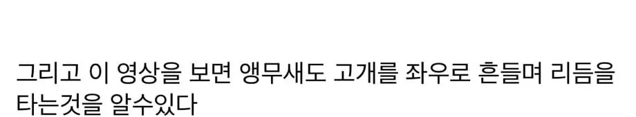 트럼프가 앵무새인 이유 알려준다 (8)