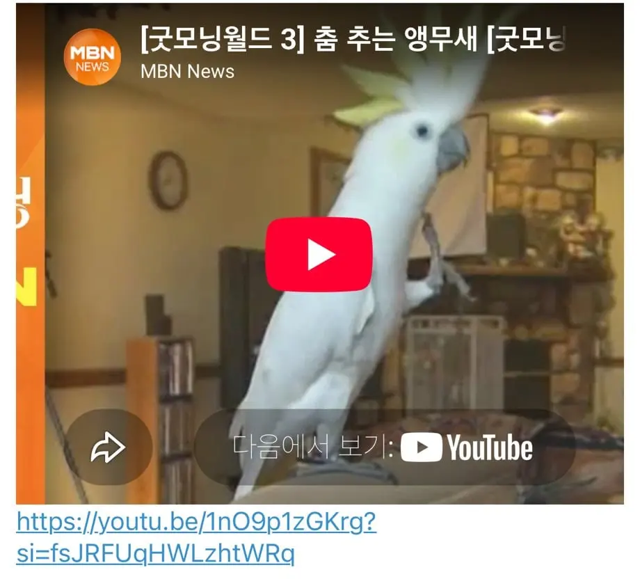 트럼프가 앵무새인 이유 알려준다 (9)