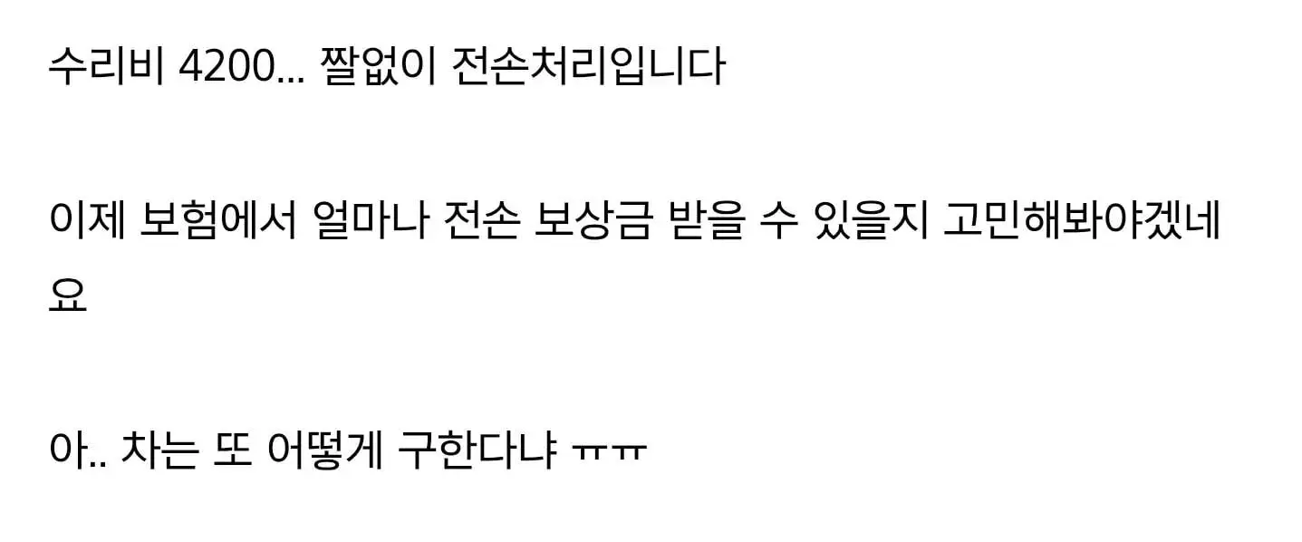 BYD 수리비 수준 (2)