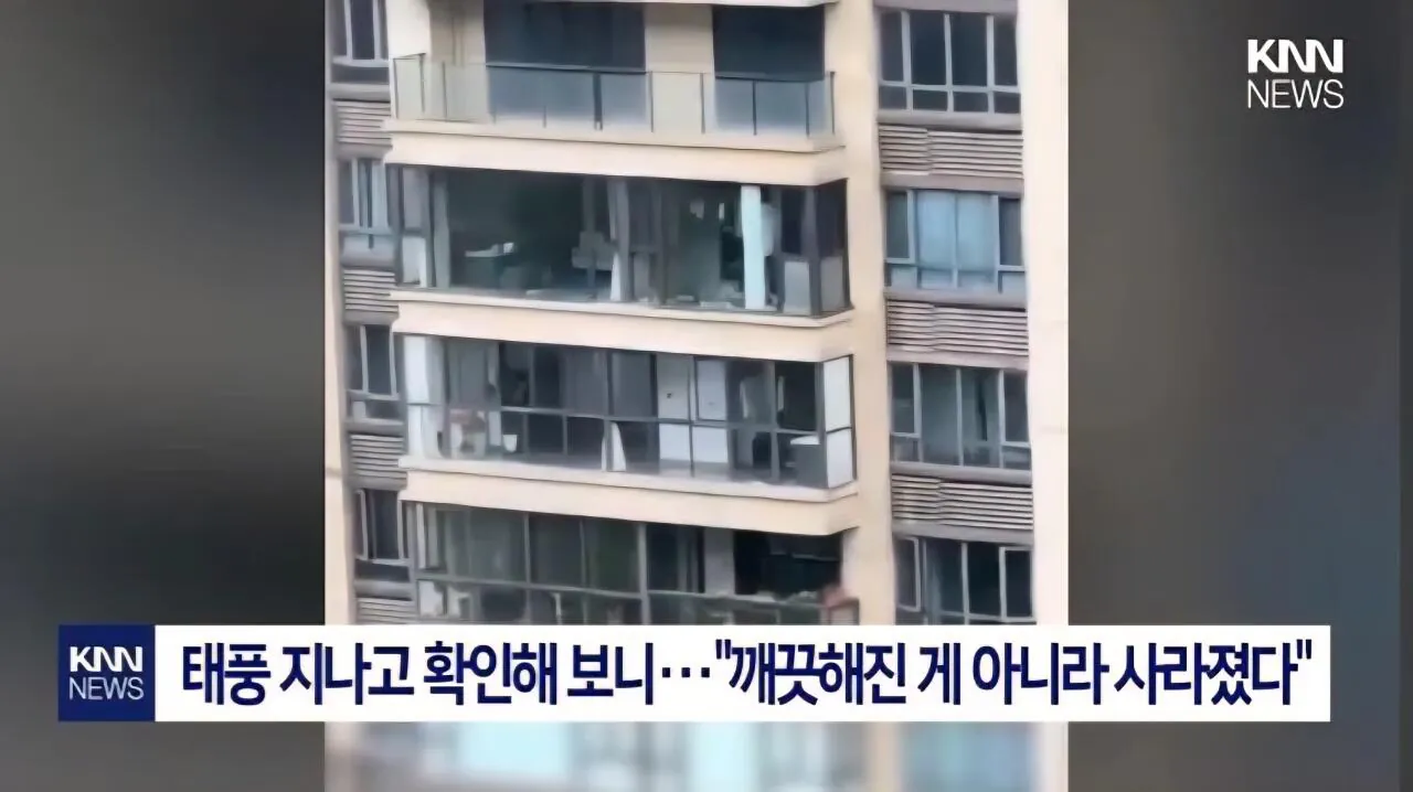 태풍이 창문을 닦아줄거라 믿었던 청년의 결말 (5)