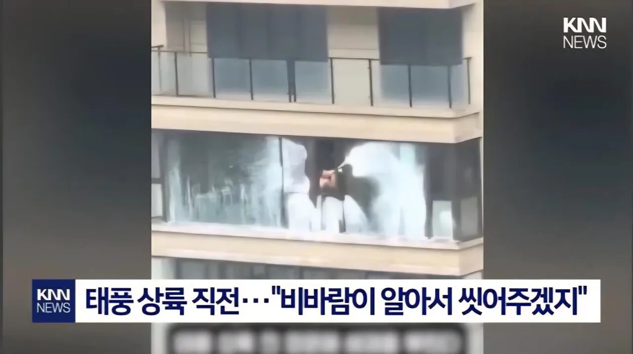 태풍이 창문을 닦아줄거라 믿었던 청년의 결말 (3)