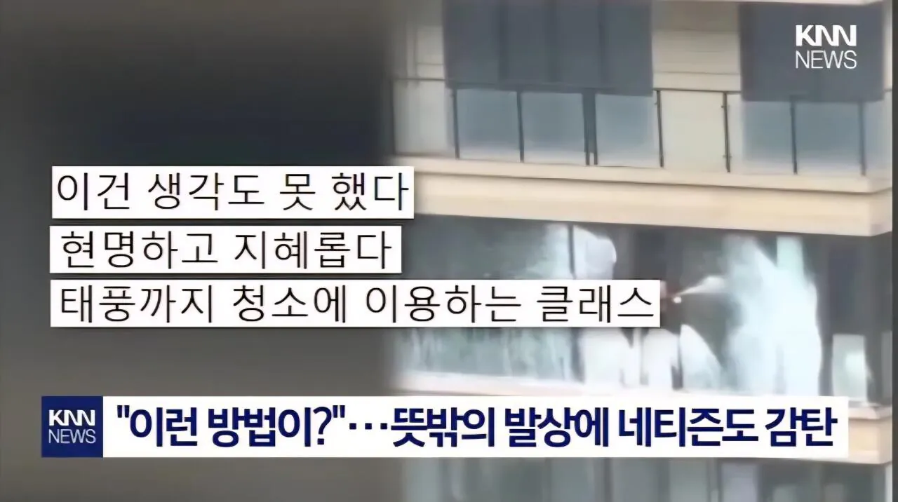 태풍이 창문을 닦아줄거라 믿었던 청년의 결말 (4)