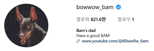 정국이 기르는 개보다 못한 그래미 (4)