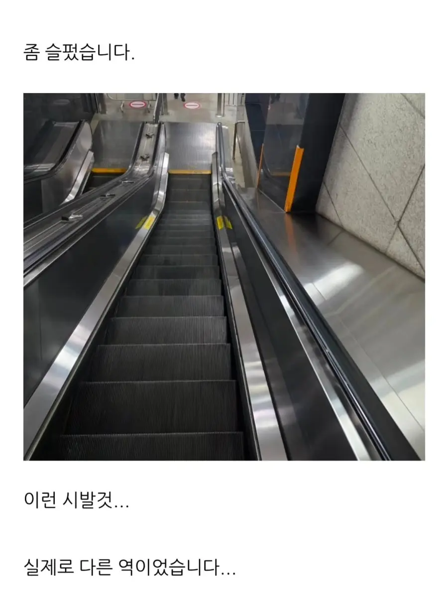 더위 먹은 블로거 (2)