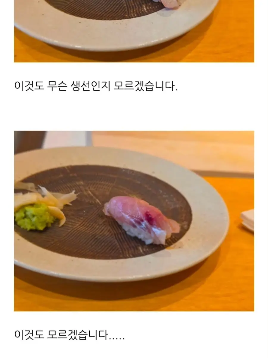 더위 먹은 블로거 (6)