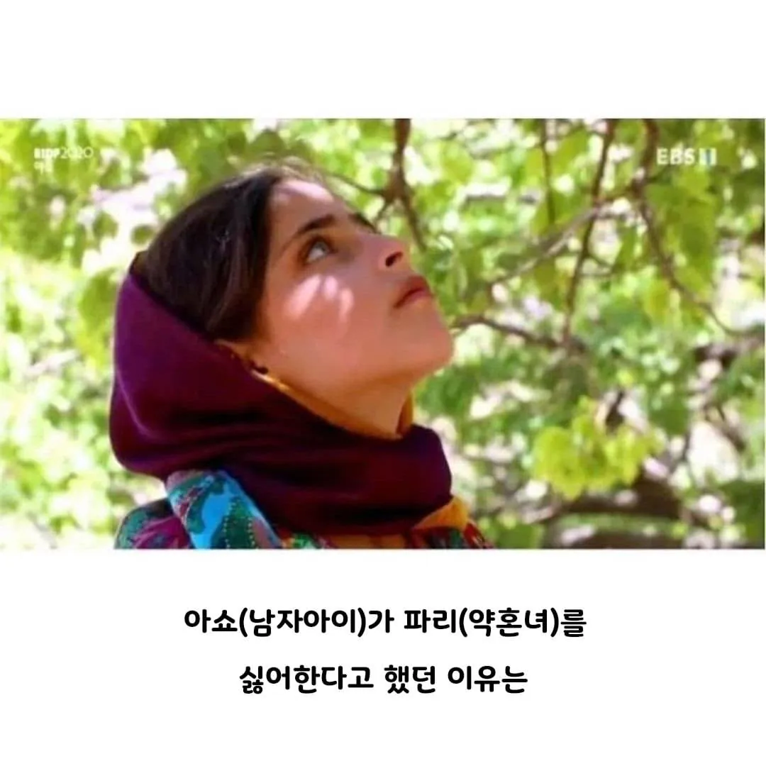 약혼녀가 싫다던 소년 최신 근황.jpg (4)