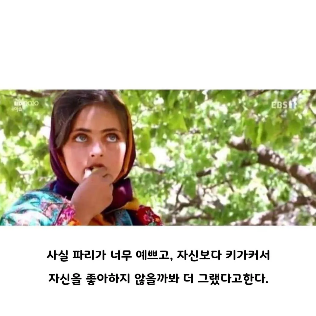 약혼녀가 싫다던 소년 최신 근황.jpg (5)