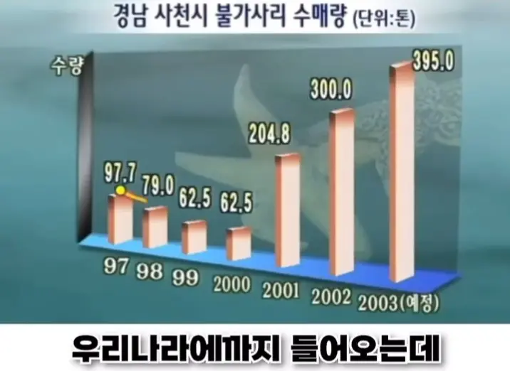 우리나라로 넘어온 바다의 무법자 불가사리의 최후 (12)