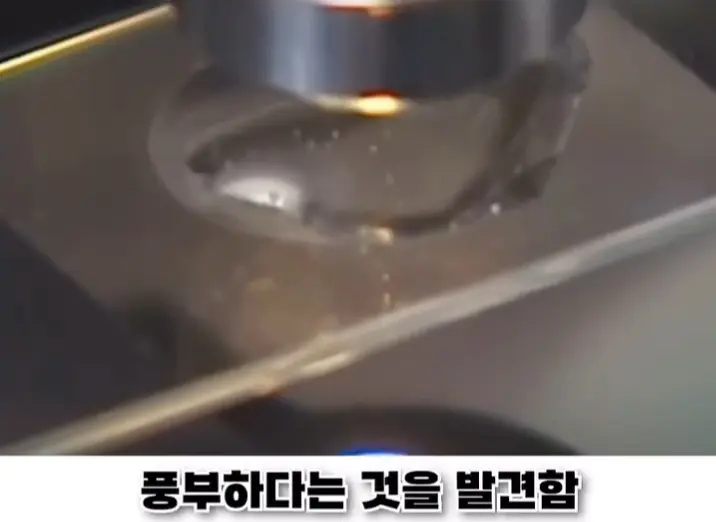 우리나라로 넘어온 바다의 무법자 불가사리의 최후 (22)
