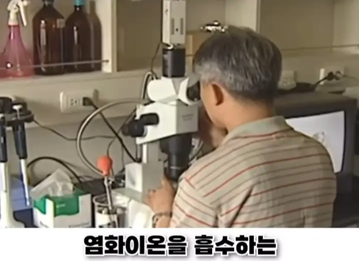 우리나라로 넘어온 바다의 무법자 불가사리의 최후 (24)