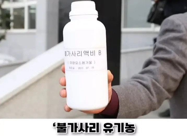 우리나라로 넘어온 바다의 무법자 불가사리의 최후 (29)