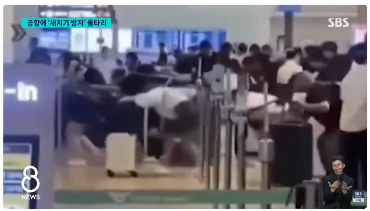 인천공항에 '새치기 방지' 울타리 설치 이후 근황 (2)