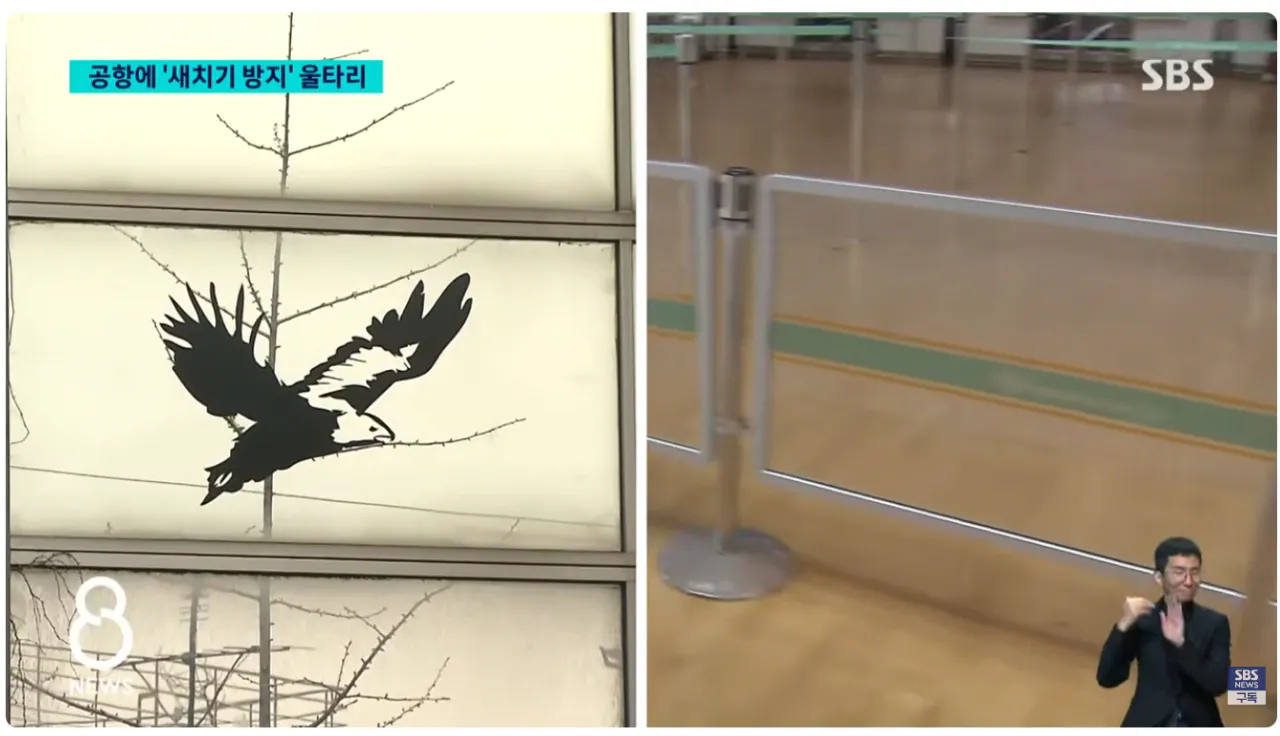 인천공항에 '새치기 방지' 울타리 설치 이후 근황 (4)