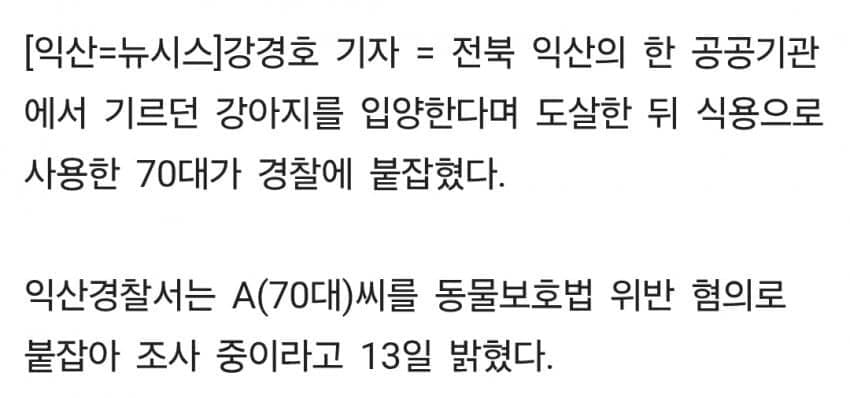 (혐) 반려견 3마리 입양받아 그날 저녁밥으로 먹은 70대 노인 (3)