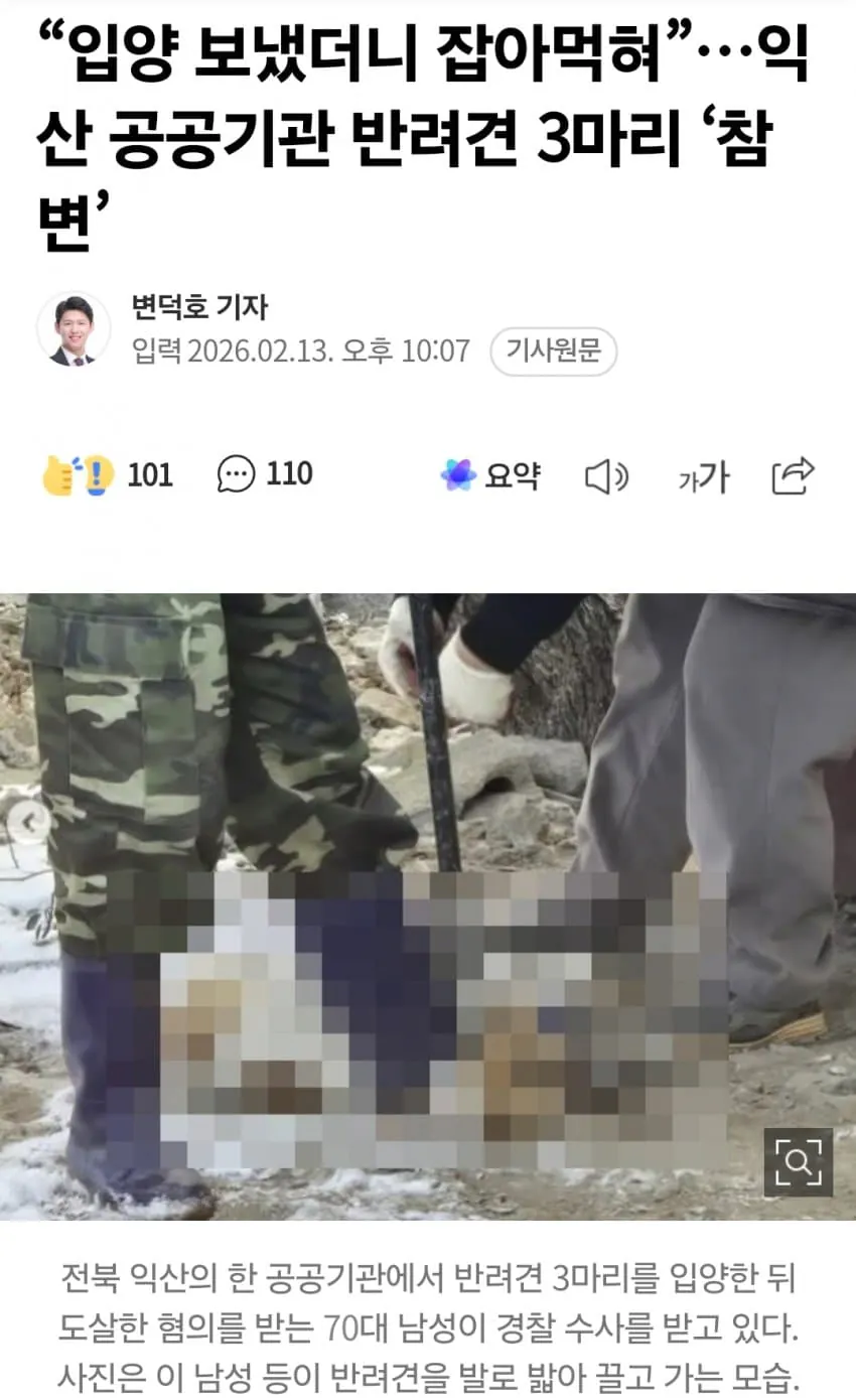 (혐) 반려견 3마리 입양받아 그날 저녁밥으로 먹은 70대 노인 (2)