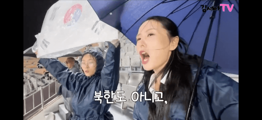 대한민국에서 태극기 들었다고 제지당함ㄷㄷ (7)