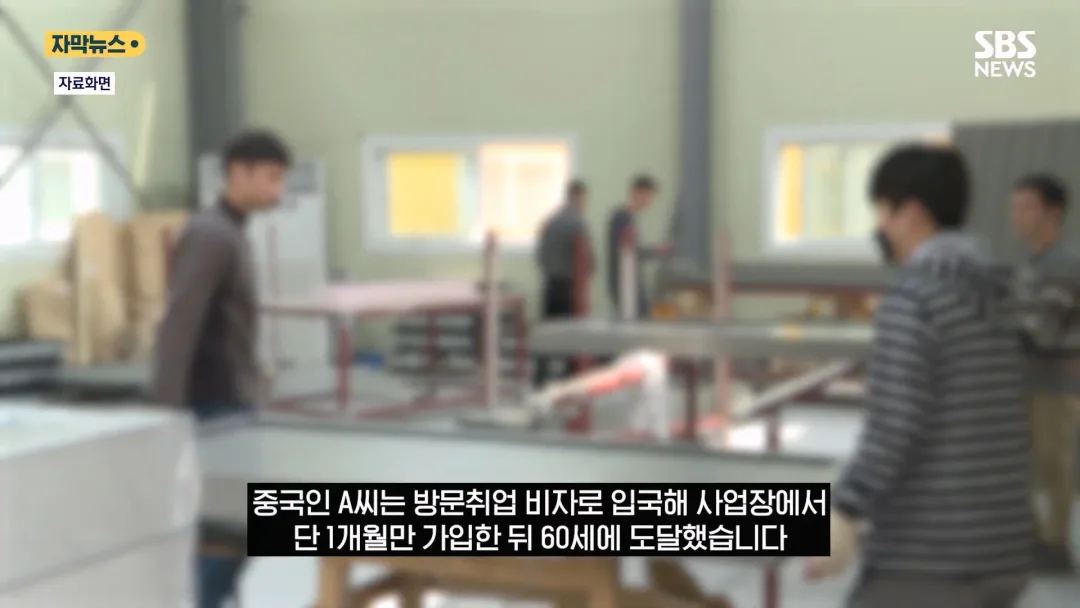 국민연금 헛점 악용하는 중국인 (12)