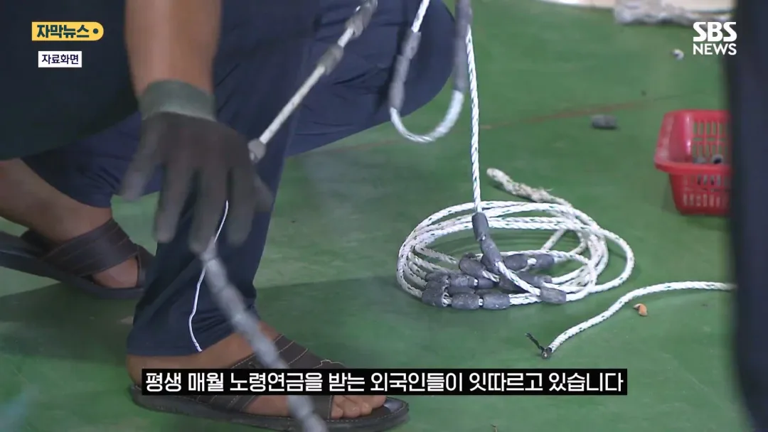 국민연금 헛점 악용하는 중국인 (2)