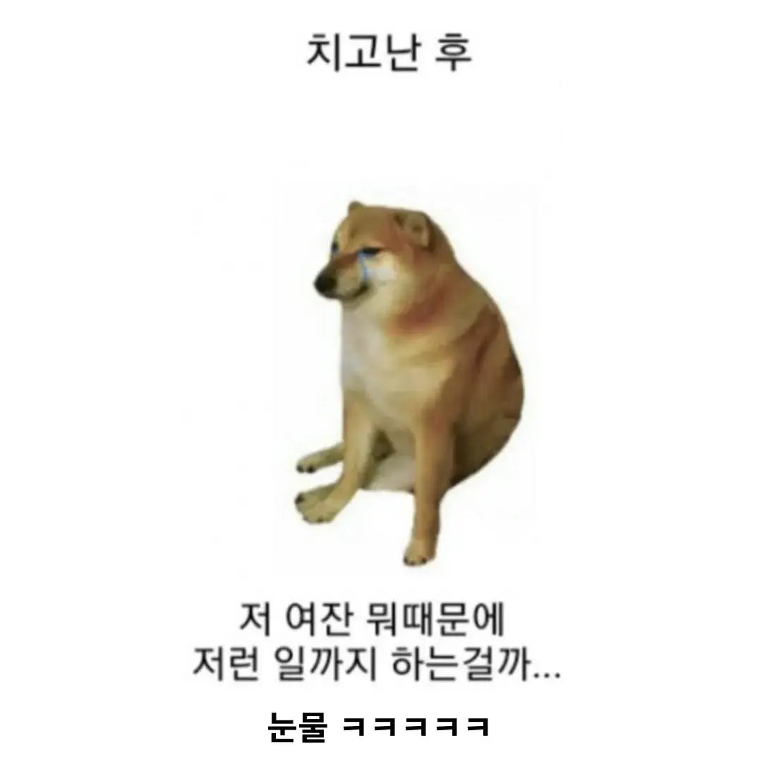 ㄸ치기 전과 후 반응 (2)
