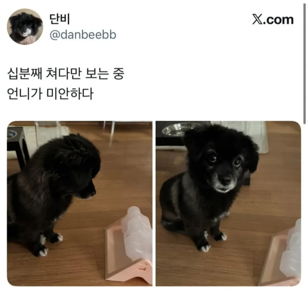 오늘도 다이소에 3천원 기부했다 (2)
