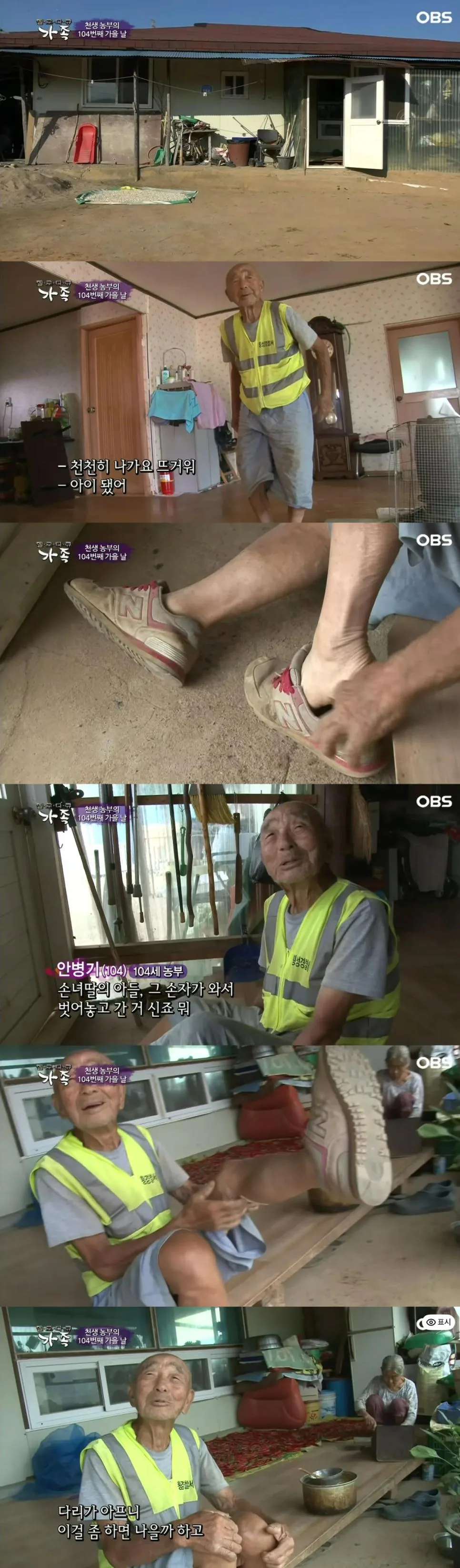 매일 아침 고봉밥 한 그릇씩 먹고 땡볕에 일하러 가는 104살 할아버지 (3)