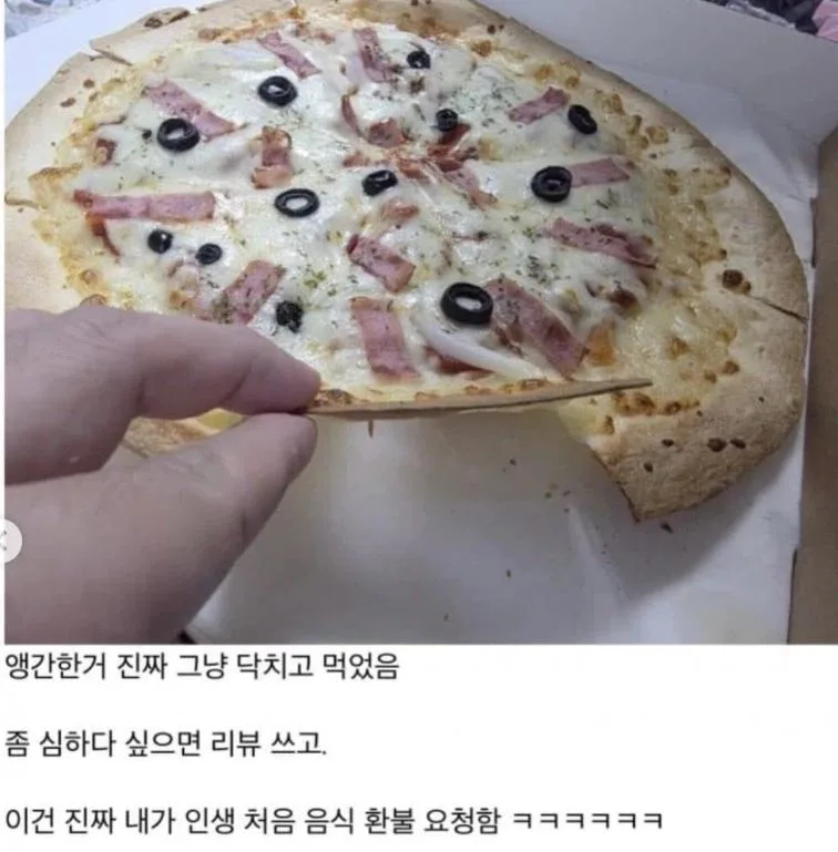15,900원 짜리 피자 후기 (2)