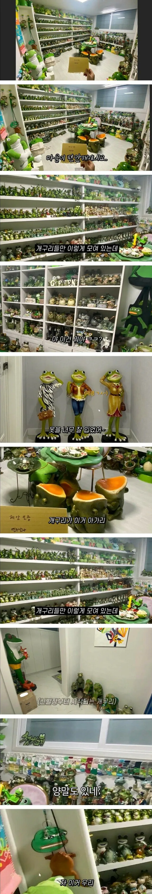 엄마가 30년동안 모은 개구리 장식품 (2)