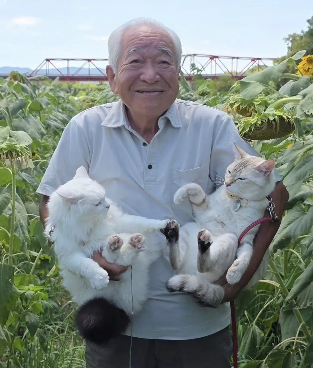 할아버지네 고양이들 진짜 개많이 싸움ㅋㅋㅋ (6)