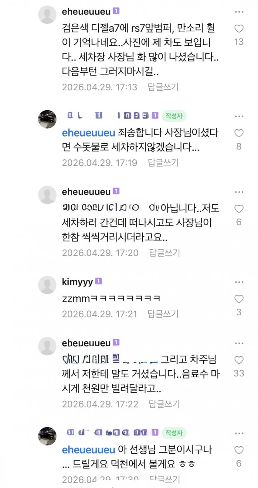 아우디 타는 세차거지 (6)