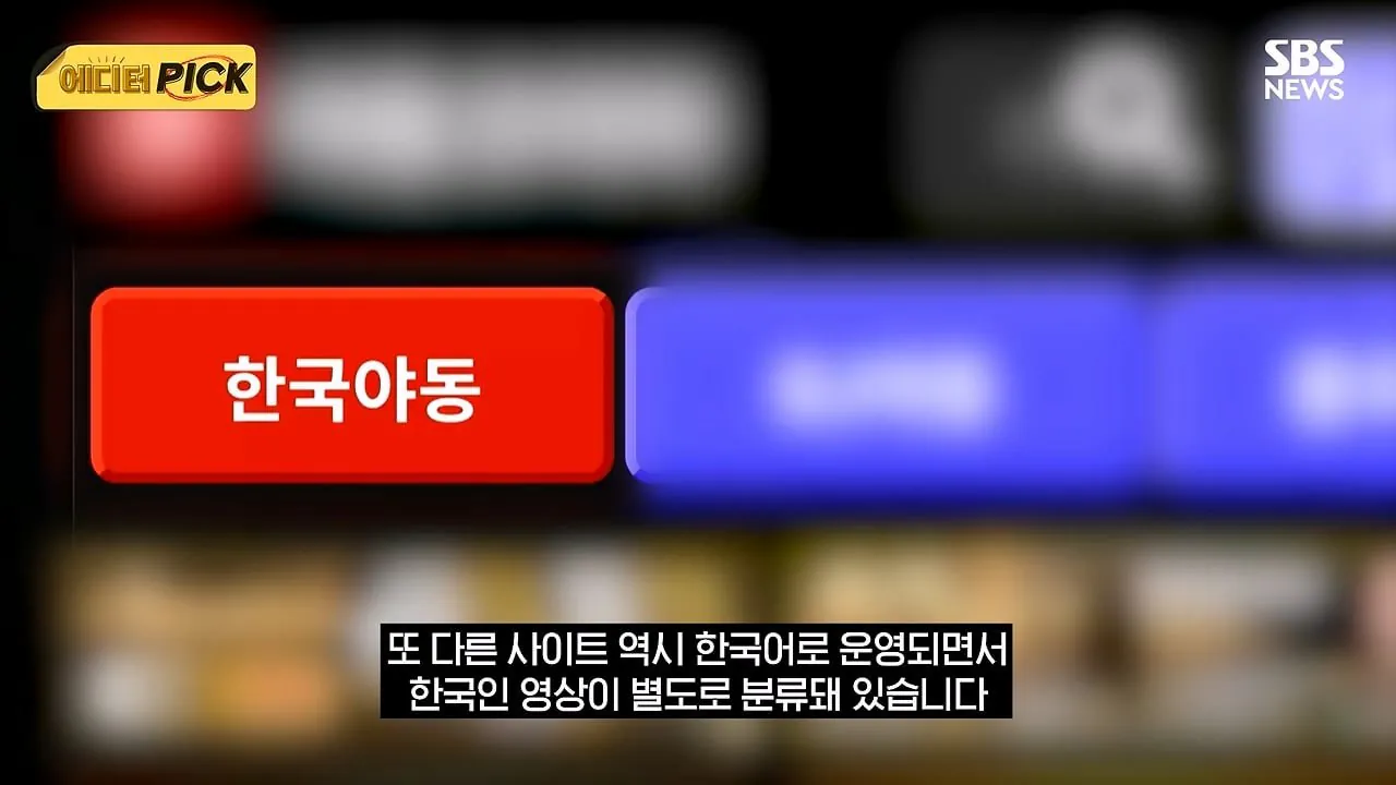 야동 사이트 해킹후 사이트 폐쇄를 고려하고 있는 한국 정부 (3)