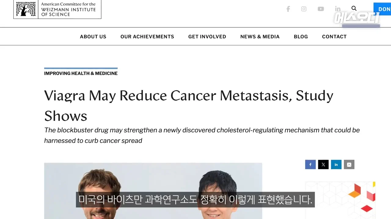 비아그라 항암효과 (4)