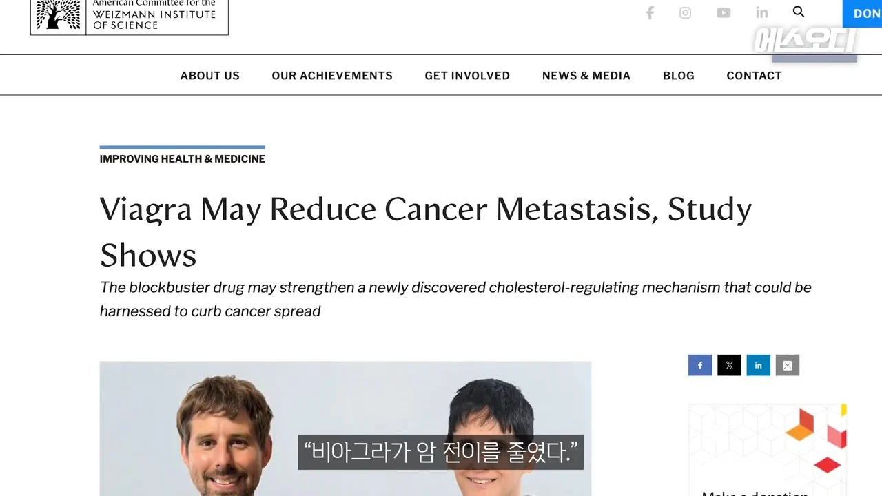 비아그라 항암효과 (5)