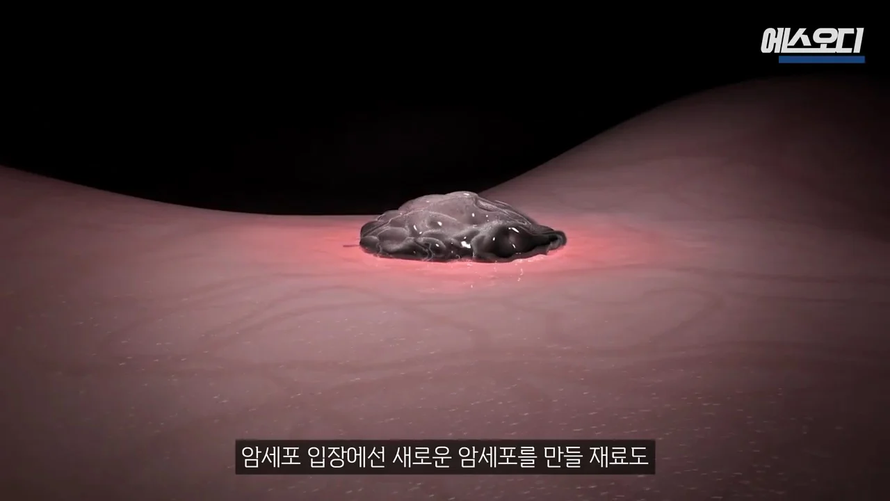 비아그라 항암효과 (8)
