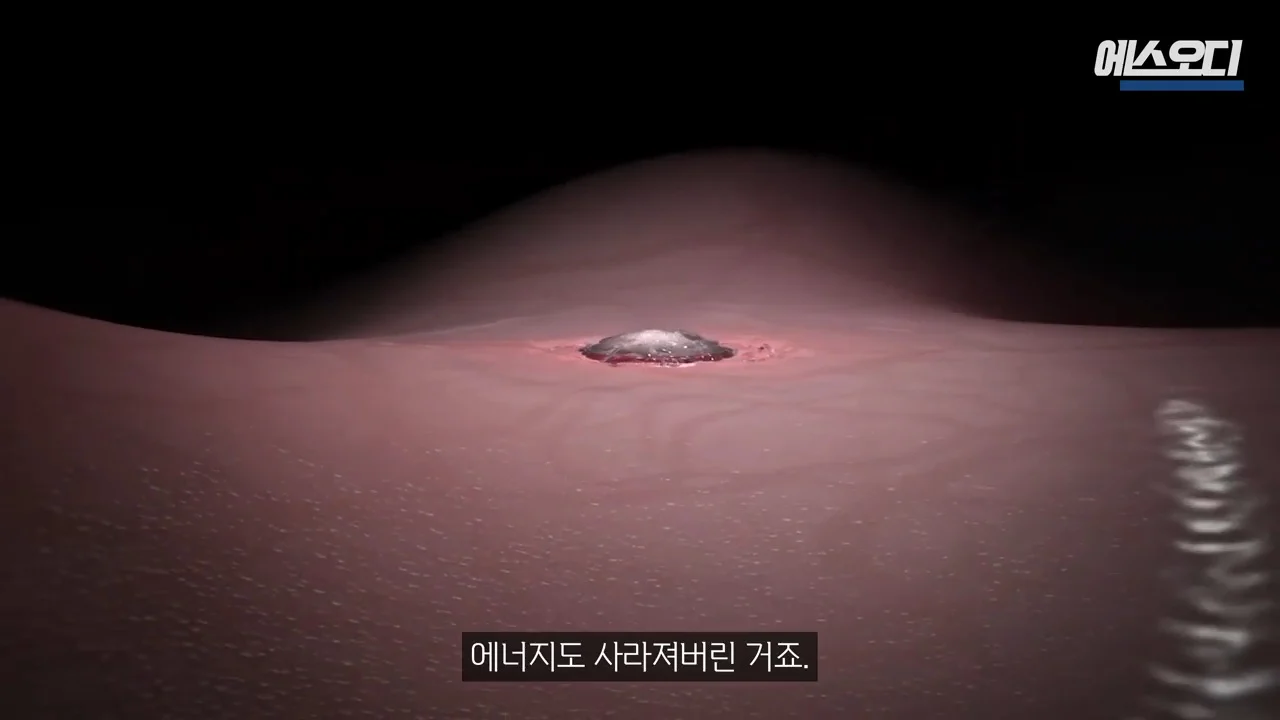 비아그라 항암효과 (9)