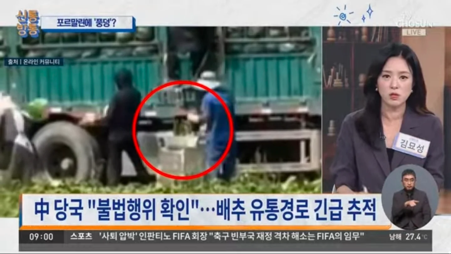중국 배추에 시신 방부제 사용 (3)