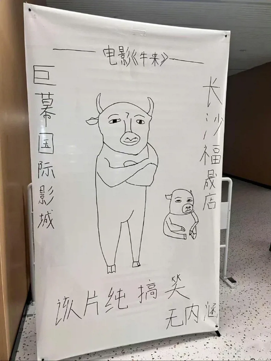 중국에서 밈으로 흥행이 된 괴작 영화 (3)