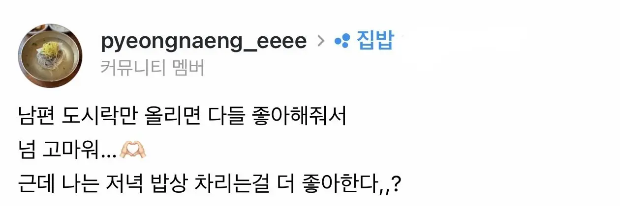 남편 도시락 싸주는 와이프 (6)