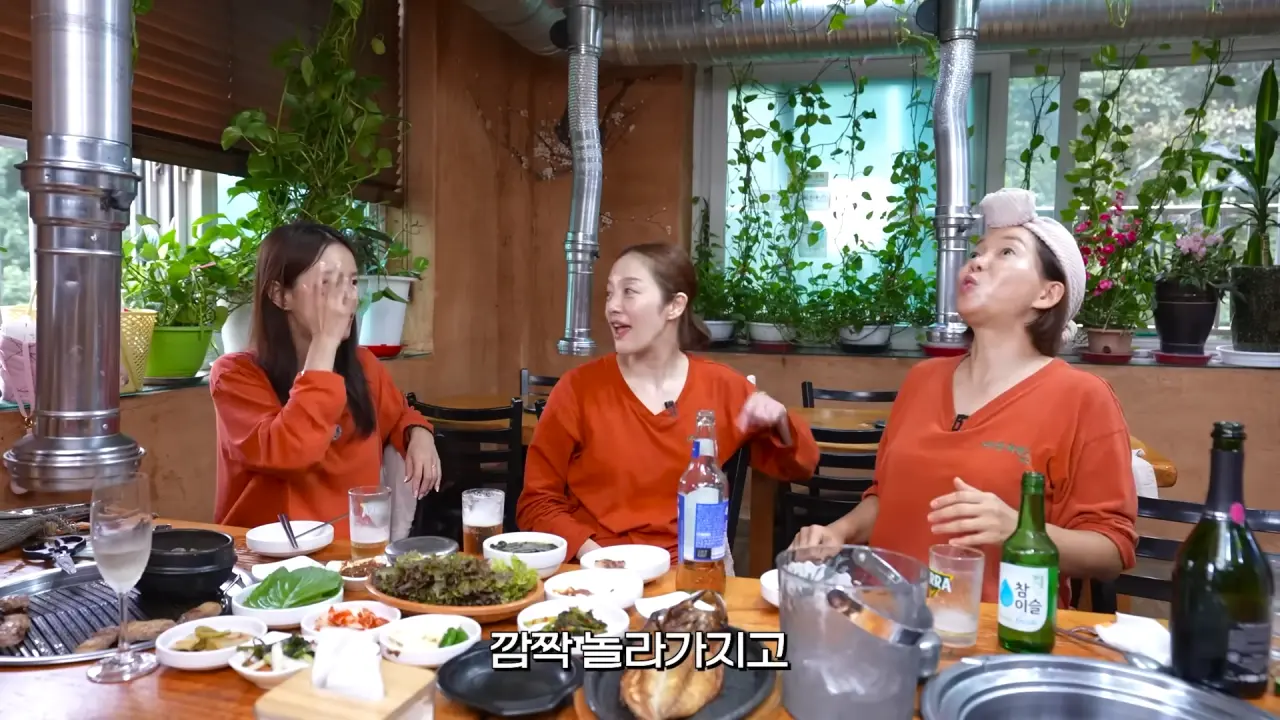 차에서 ㅅㅅ안하는 이유 (9)