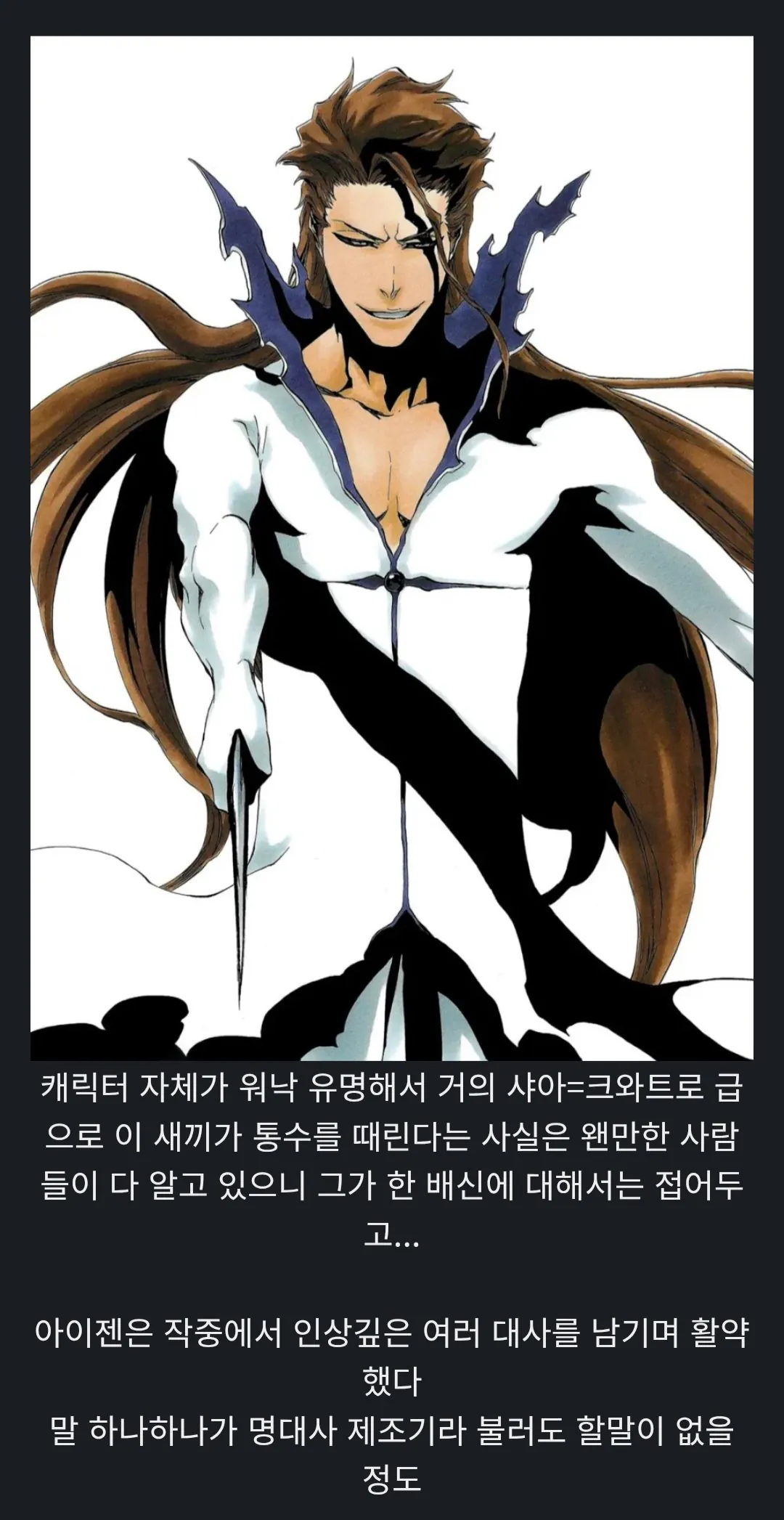 알고보니 복선이였다는 블리치 대사들 (2)