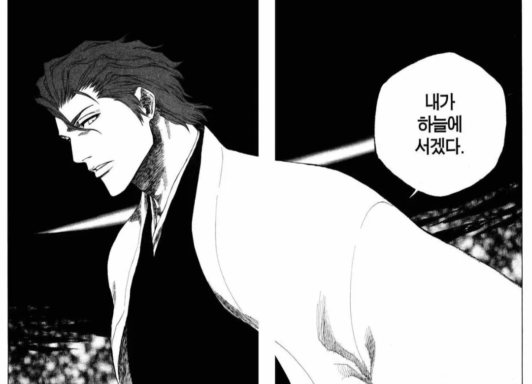 알고보니 복선이였다는 블리치 대사들 (6)