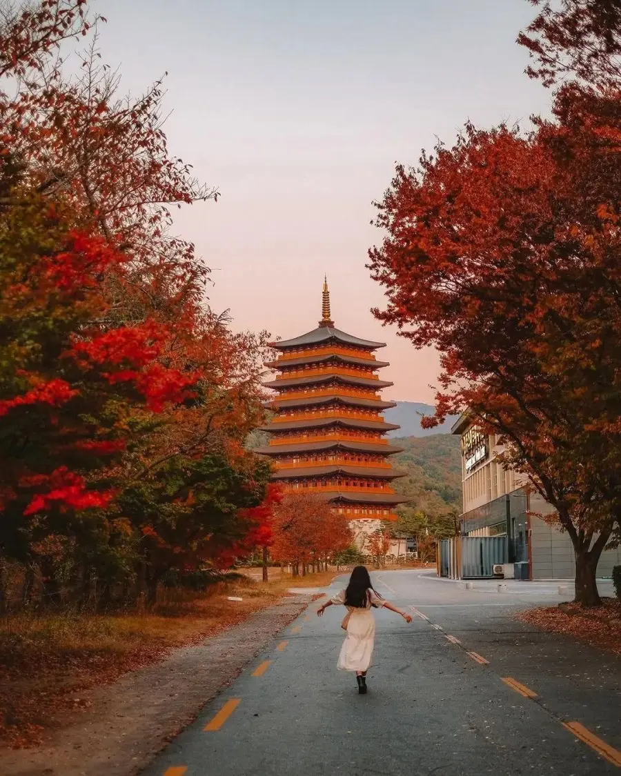 요즘 외국인들에게 새롭게 관광으로 뜨고 있다는 도시 (6)