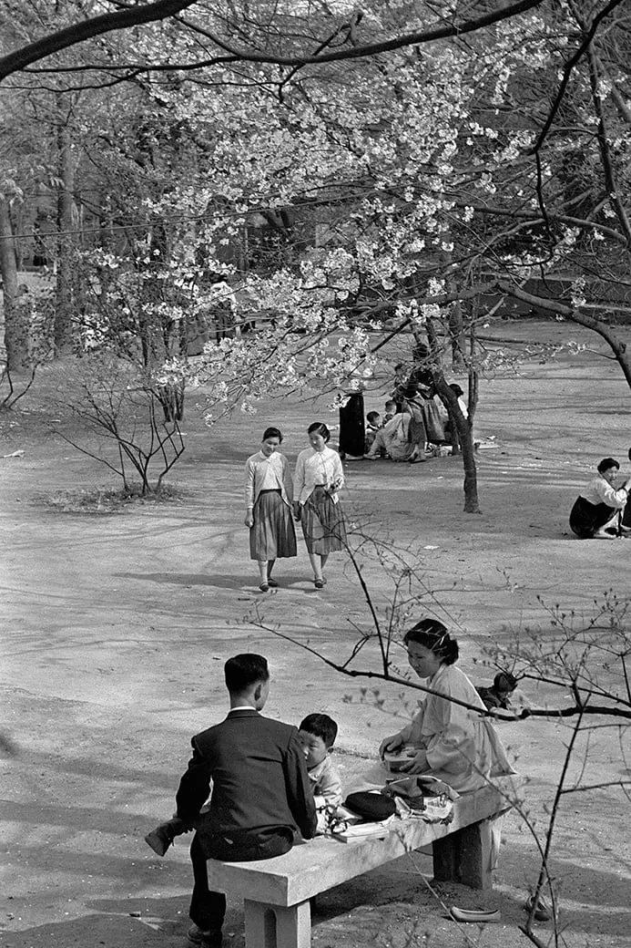 1950~1960년대에 찍은 사진 (9)