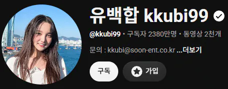 한국 천만 유튜버 특징 (4)