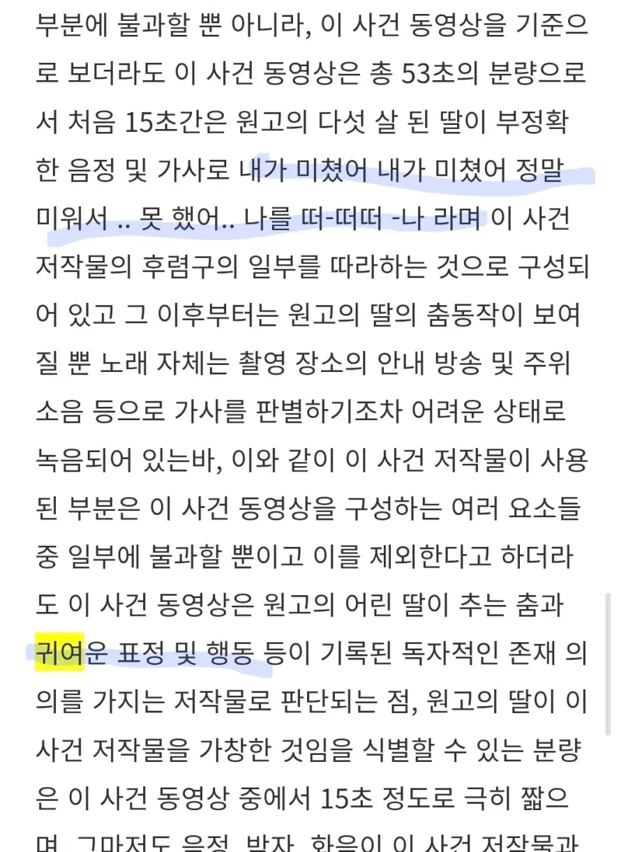 5살짜리 애기 영상 때문에 고소전 뜨고 나온 판결문 (2)