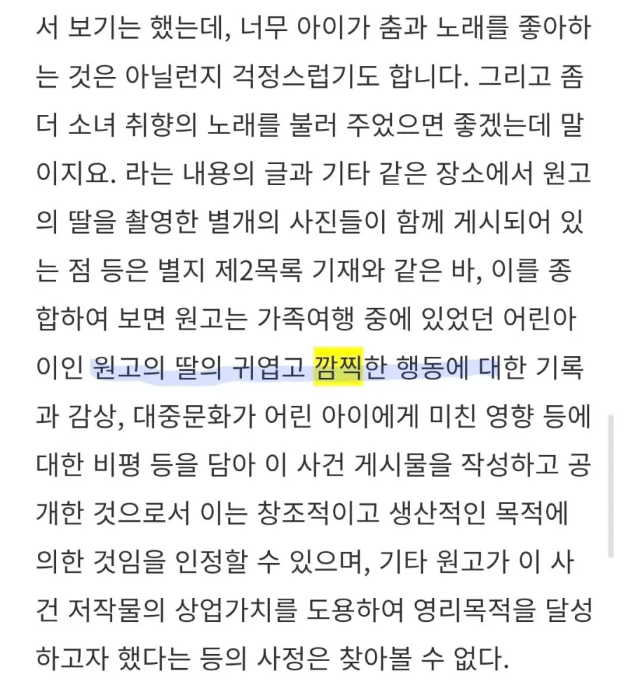 5살짜리 애기 영상 때문에 고소전 뜨고 나온 판결문 (3)