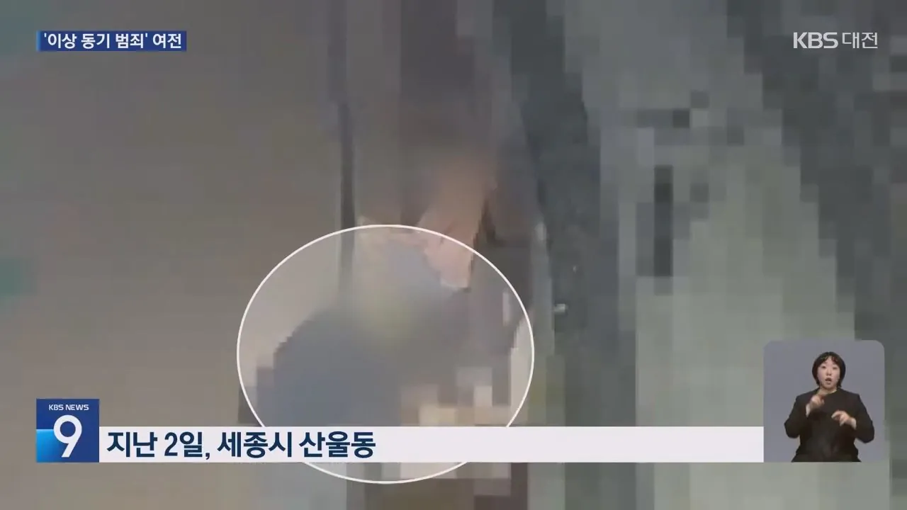 처음 본 사람을 뒤에서 목 조르고 도주한 20대 (2)