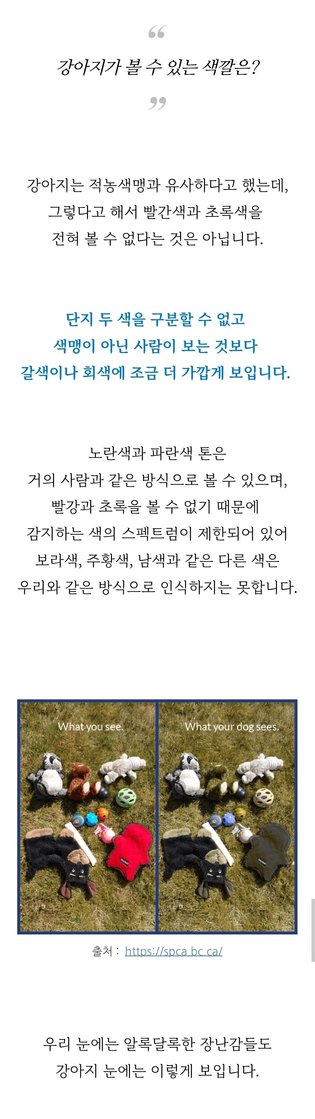 강아지 눈에는 사슴이 안보이나?