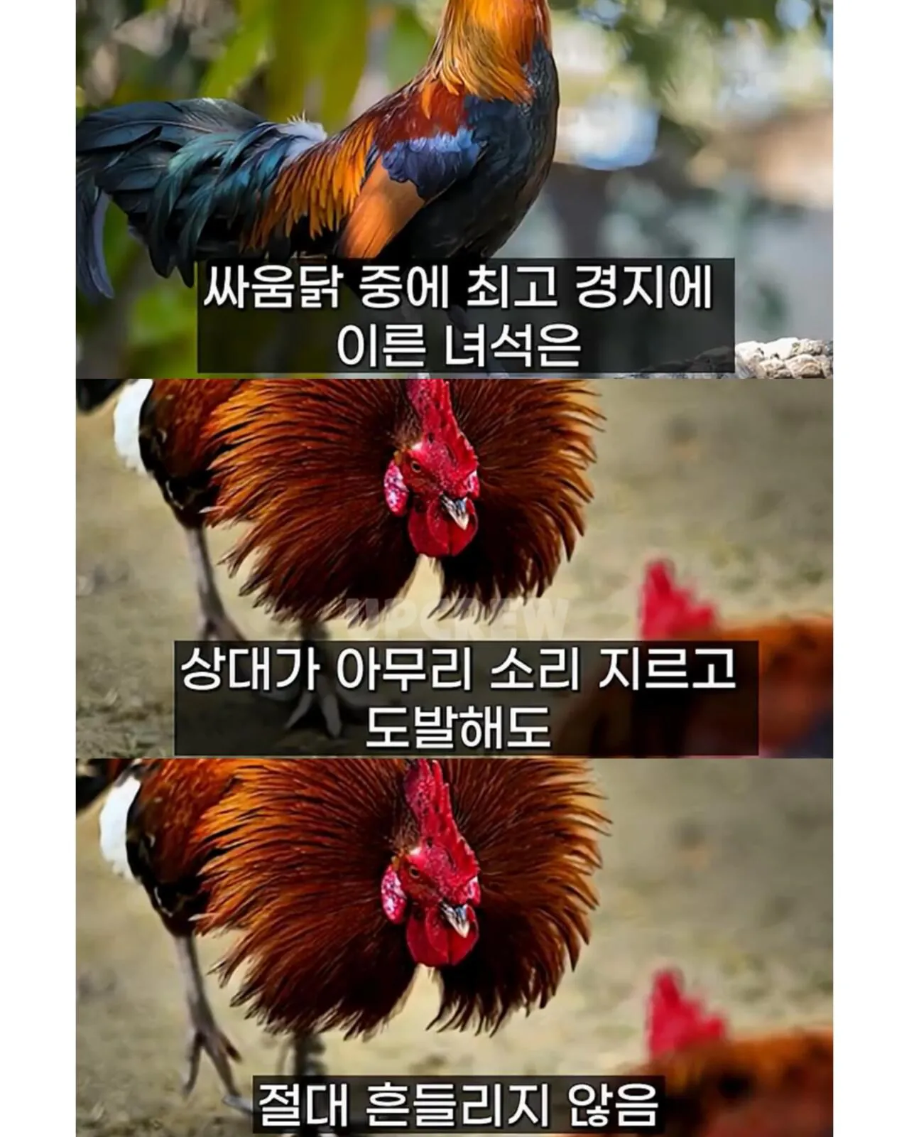 삼성 이재용이 평소에 조용한 진짜 이유 (7)